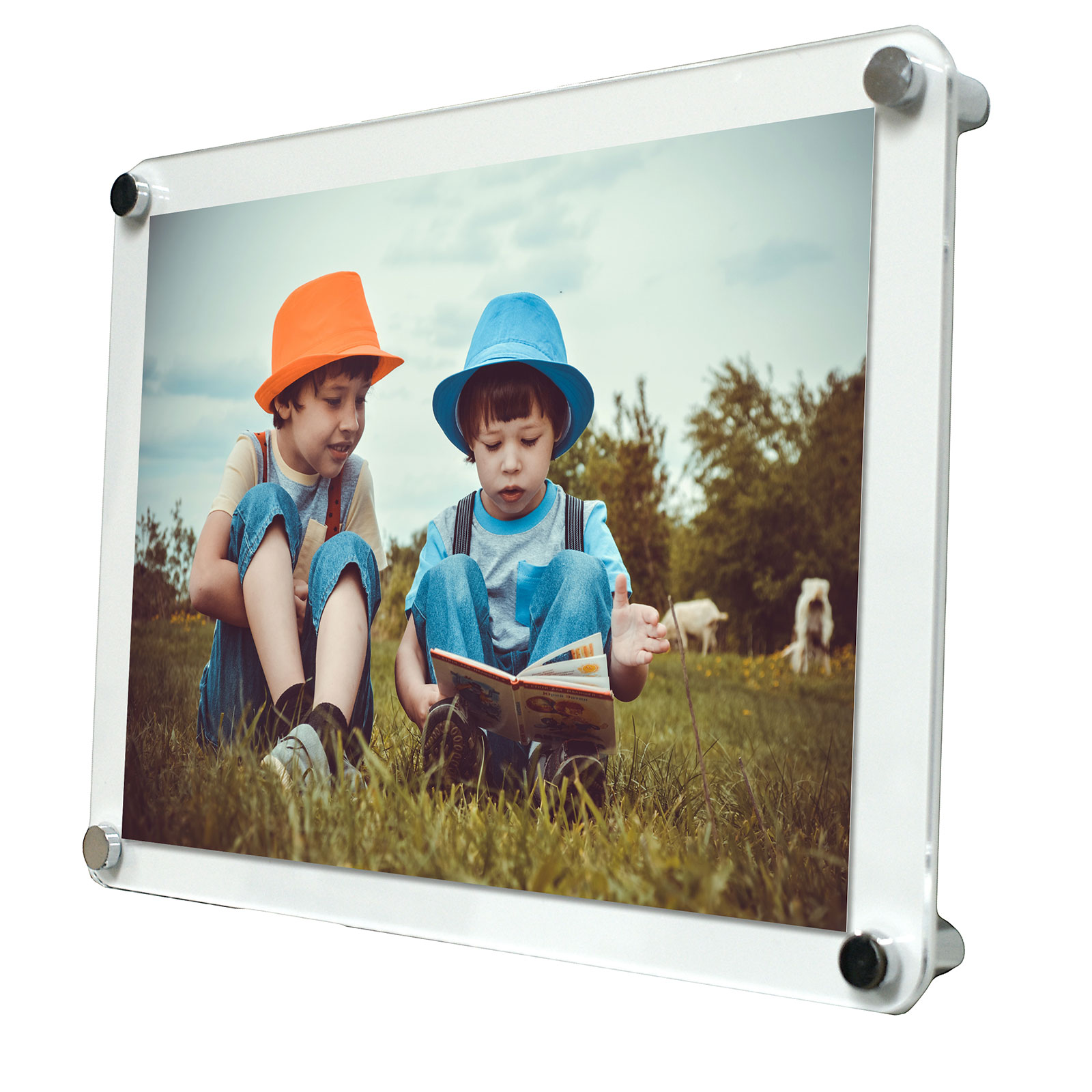 Photo Frame Wall Mounted A3 Acrylic Poster Frame in 4 Finishes (DSFA3)