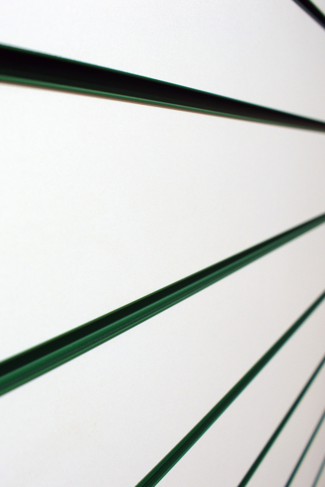 Green PVC Inserts for Slatwall Panels (D10GREEN)