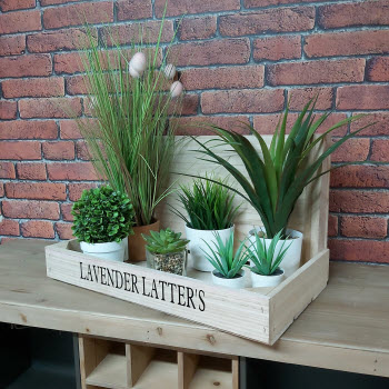 CRATE-CT-Angled-Dressed-Plants-EA