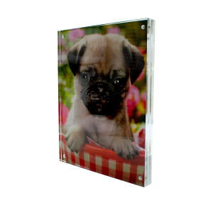 DSL5-10X8-dressed-EA