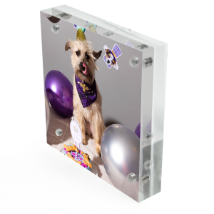 DSL5-4x4-Angled-Photo-EA