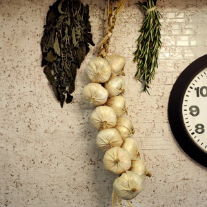 FF7-Garlic-Insitu-EA