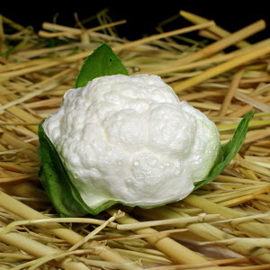 FF8-Cauliflower-Insitu-EA