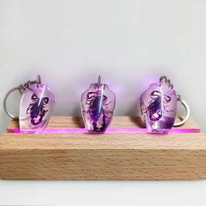 G801-Front-Dressed4-EA