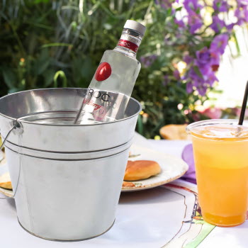 zb1-bottle-insitu-ea